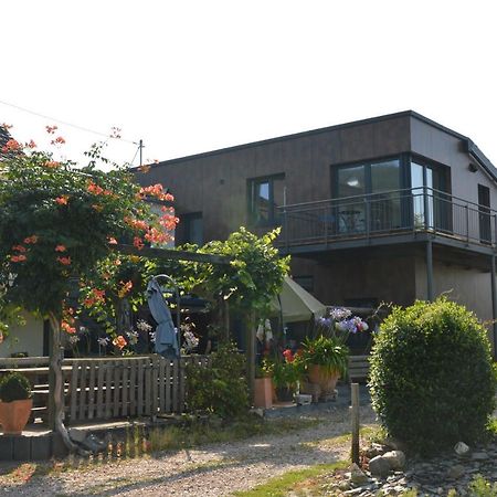 Wein & Gaestehaus Porten-Becker Köwerich Buitenkant foto